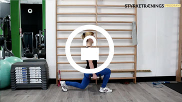 Lunges video