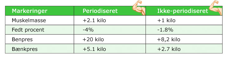 Periodisering