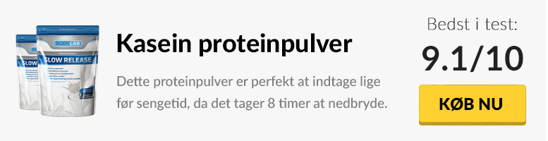 kasein proteinpulver