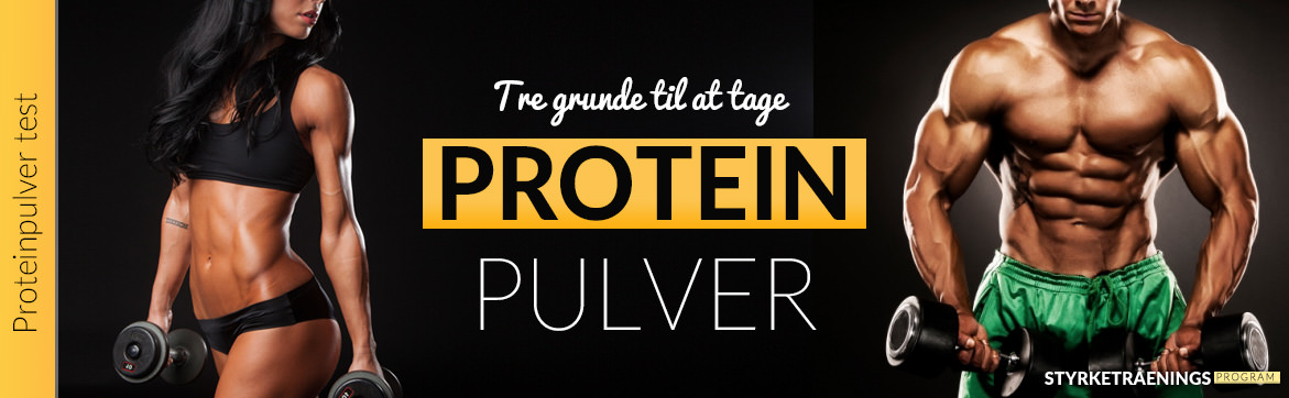 proteinpulver guide