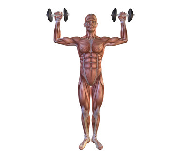Dumbell press