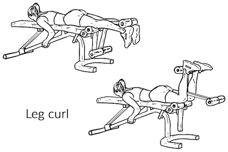Leg curl