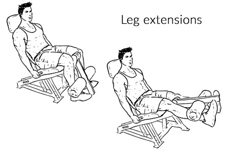 Leg extension