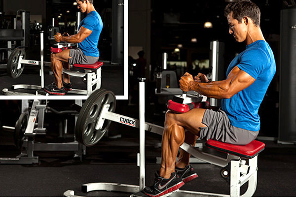 Siddende calf raises