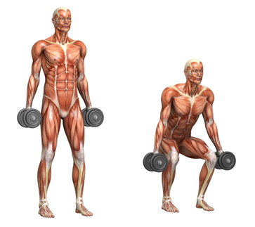 Squat