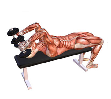 Triceps extensions