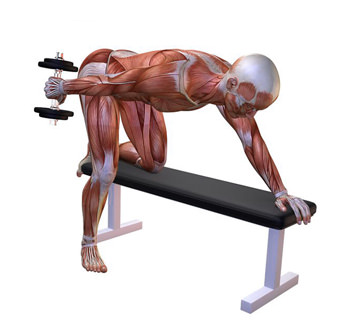 Triceps kickbacks