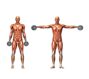lateral raises