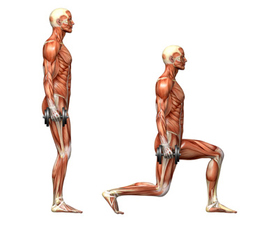 lunges