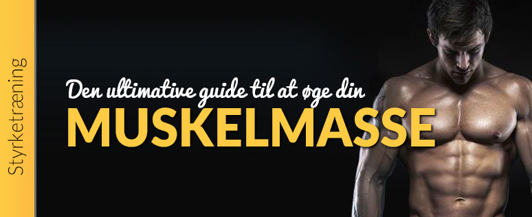 muskelmasse