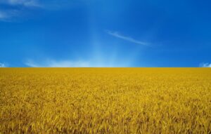 Hjælp til Ukraine